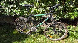 Kult-MTB von M-Budget – Schweizer Popkultur auf zwei Rädern