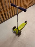 Micro Mini Scooter Grün