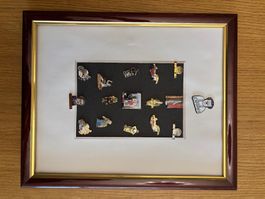 Coluche (enfoirés, président, un mec) collection de 16 pin's
