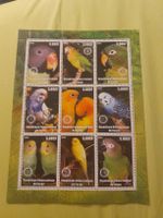 Timbre oiseaux Congo 2003, neuf, collection printemps! (59)