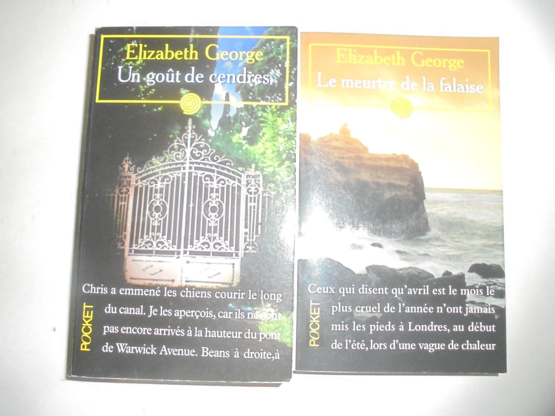 Libri: 9 romans de Elizabeth GEORGE – Usato da Crissier venduto da Promopost 1