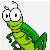 Profile image of Zikade