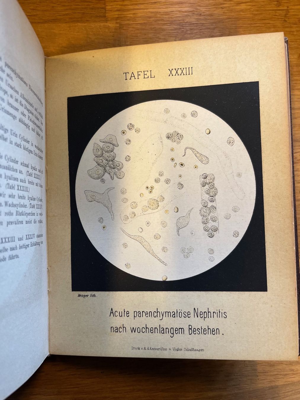 Libri: Die Microscopie am Krankenbette 1884 – Usato da Laufen venduto da Nuria44 5