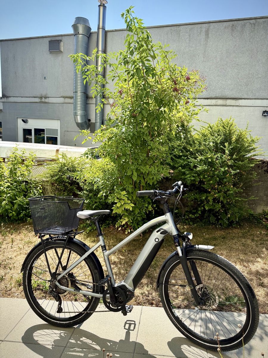 Winora Velos: Winora iX10 E-Bike Bosch Performance Line CX 2 531 km  – Gebraucht aus Bern von ser_7vtn