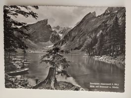 Stempel F. Grubenmann, Seealpsee Blick Rossmad Säntis 1956
