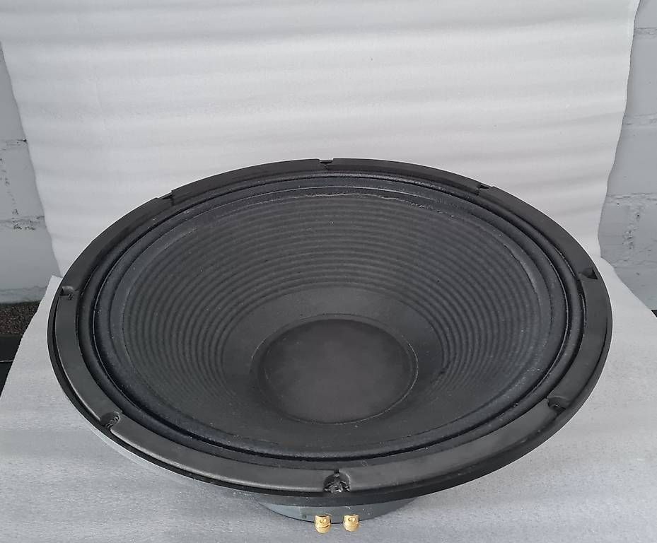 Casse acustiche: 18Zoll Lautsprecher Chassis – Usato da Riehen venduto da ribak