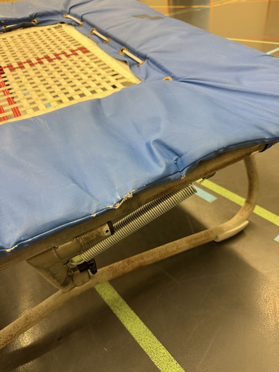 Trampoline: Mini Trampolin blau mit Federn gebraucht – Gebraucht aus Zürich von Frodokauft 5