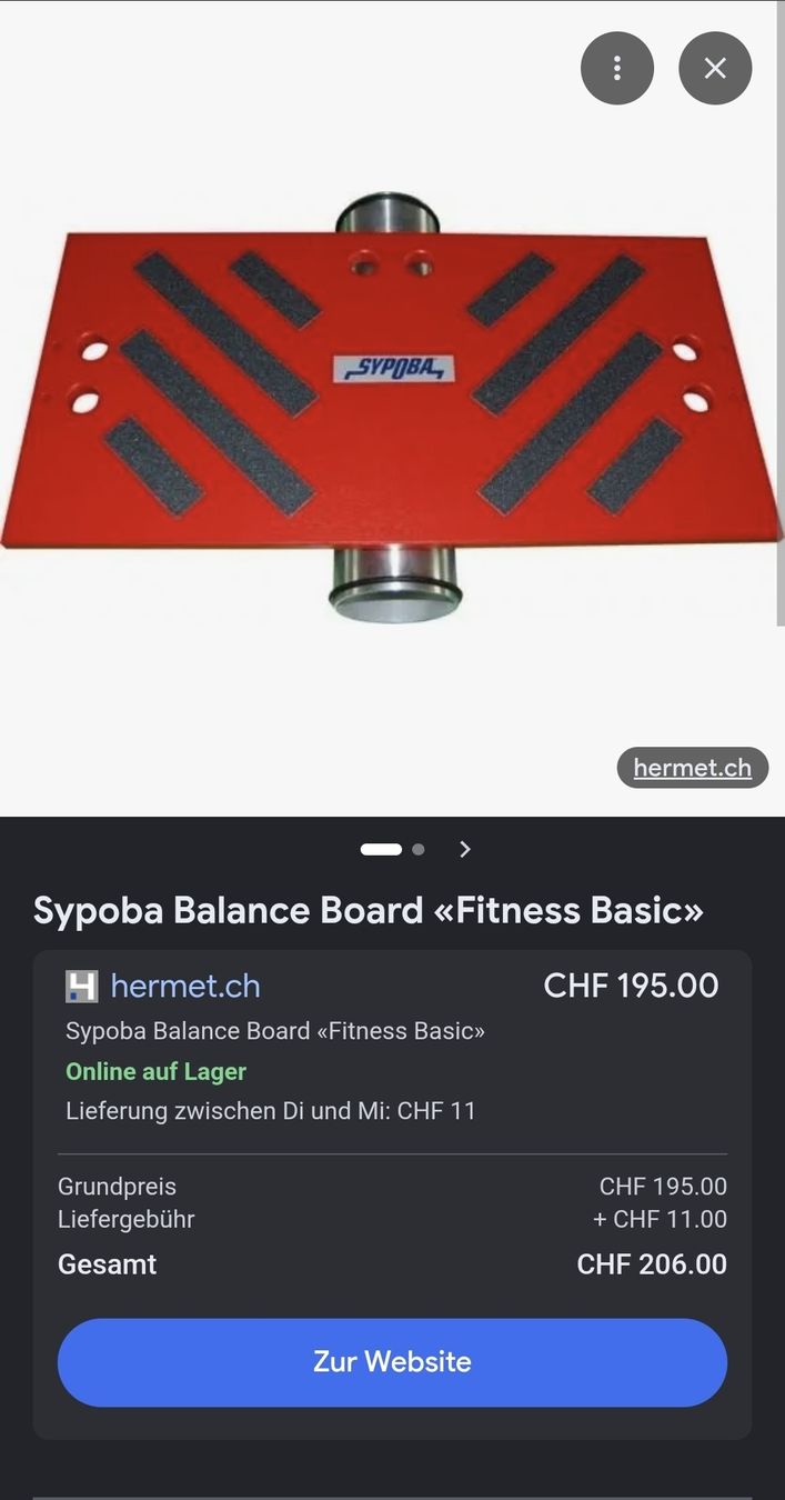 Hometrainer: Sypoba Balance Board Basic – Usato da Wilen b. Wollerau venduto da squissi01 4