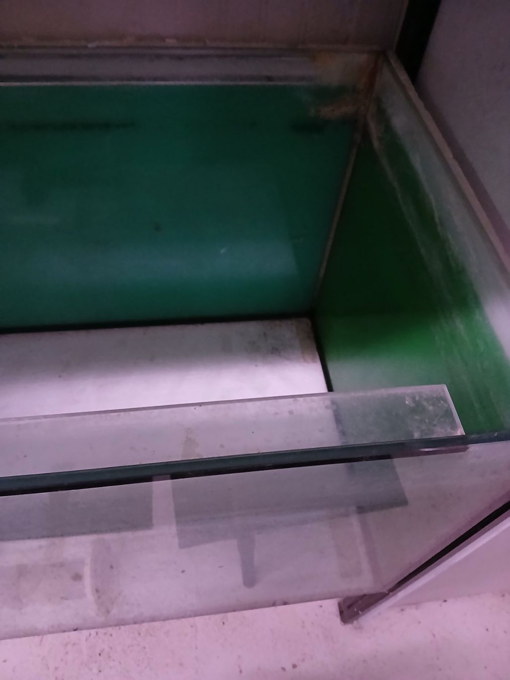 Acquari: 250 Liter occasion Aquarium – Usato da Kappelen venduto da lue_nrl2 1