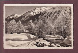 ENGADIN - Rauhreifstudie - 1937