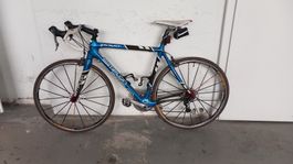 Rennrad Simplon pavo carbon