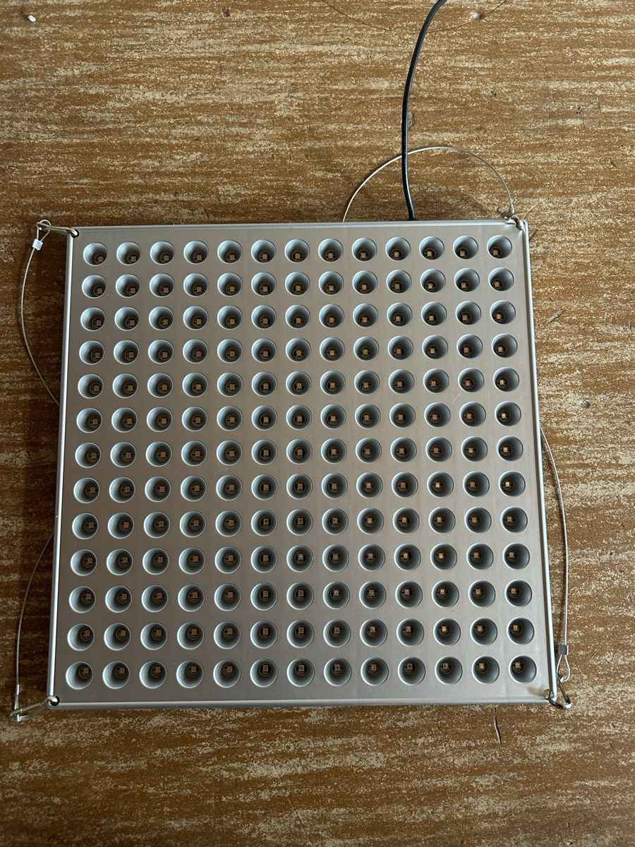 Lampade: Led Planzenlampe – Usato da Thun venduto da stu_jrr6