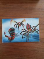 Lego creator 4994 gruselige Tiere