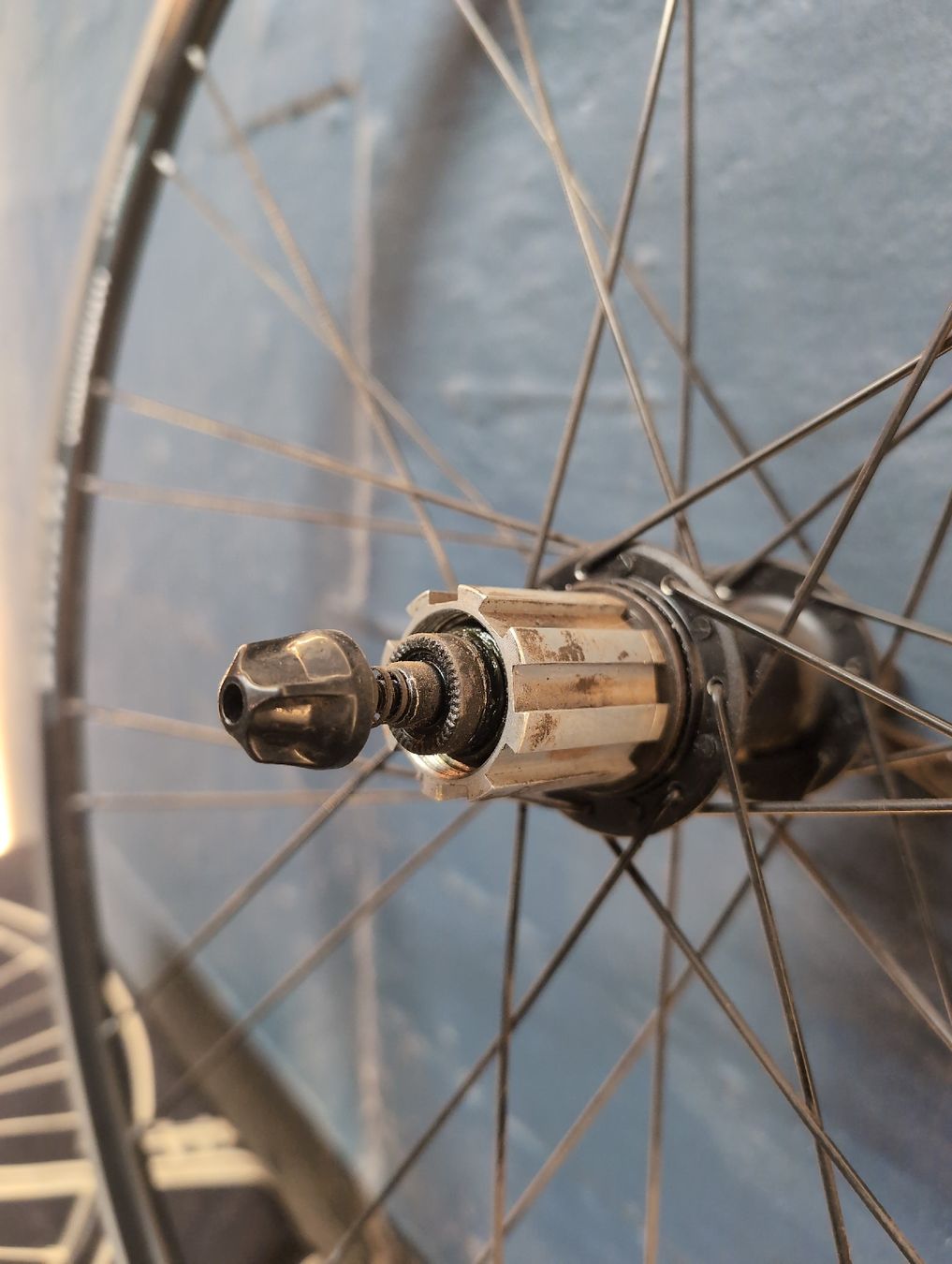Campagnolo Pezzi di ricambio: Bianchi Hinterrad Campagnolo HG – Usato da Zürich venduto da Jonatan67 2