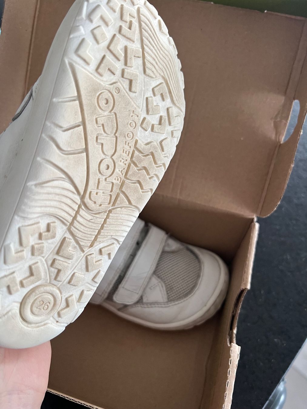 Froddo Scarpe da uomo: Froddo Barefoot BAZE unisex 26 – Usato da Stäfa venduto da bambinas 1