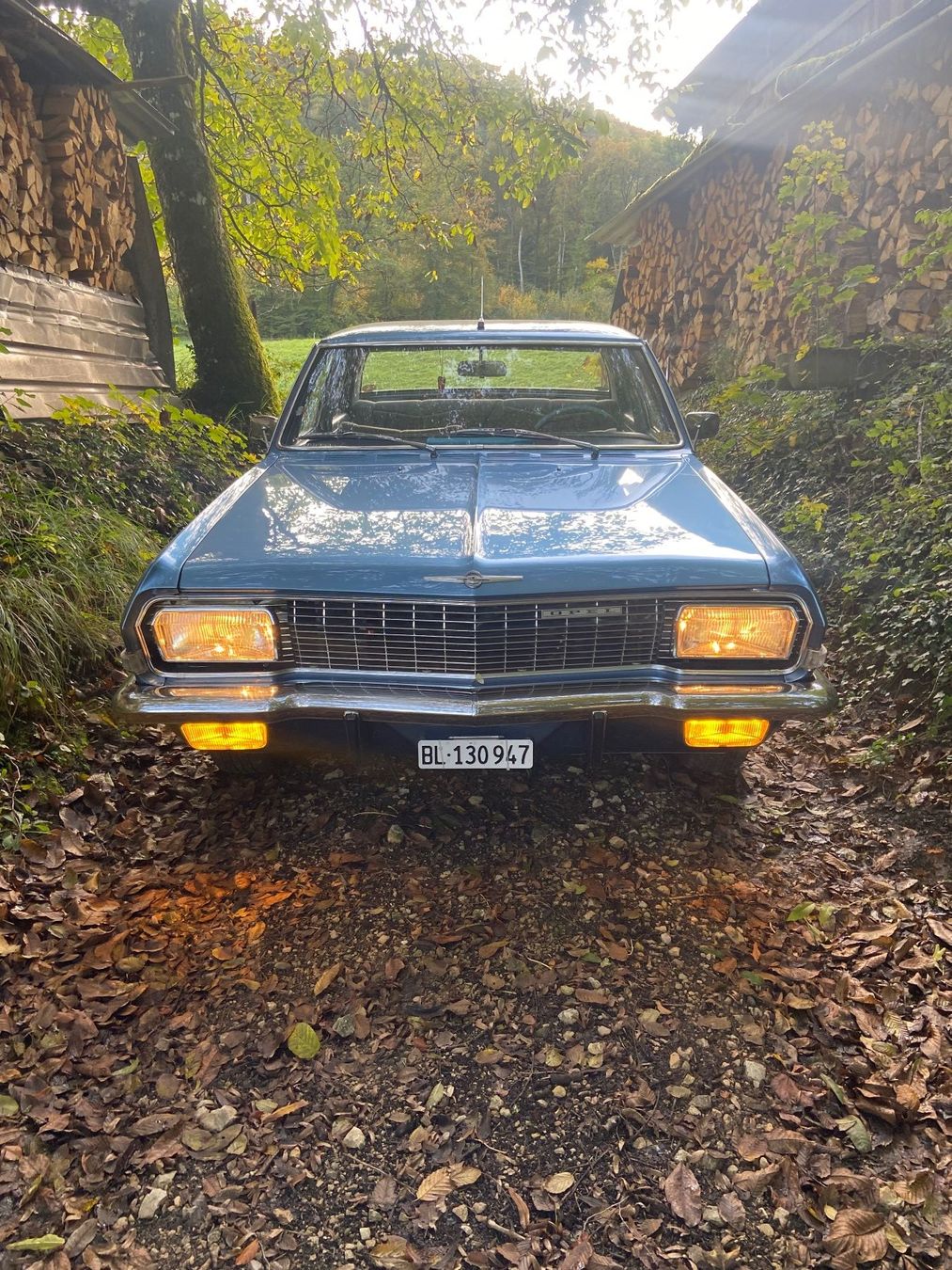 Opel Autos: Opel Admiral A – Gebraucht aus Diegten von zippo411 6