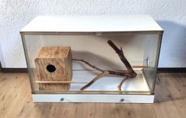 Cage à oiseaux en bon état.