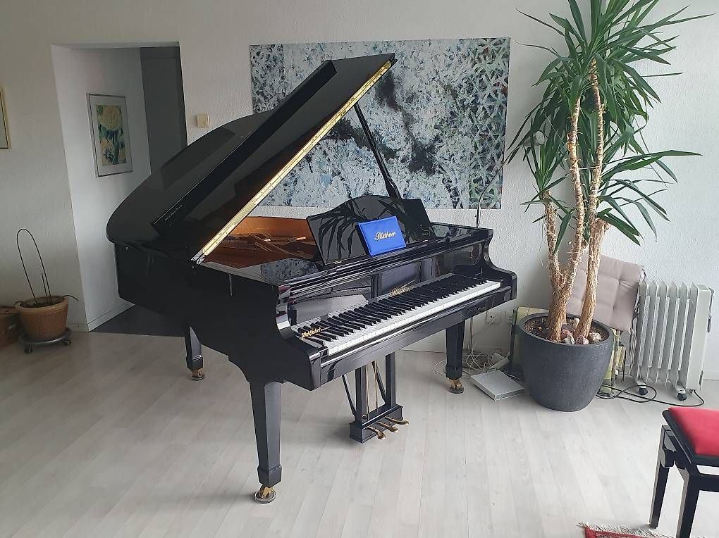 Blüthner Instruments de musique: Blüthner Flügel Modell 10-166 – D'occasion à Grenchen par piuser 1