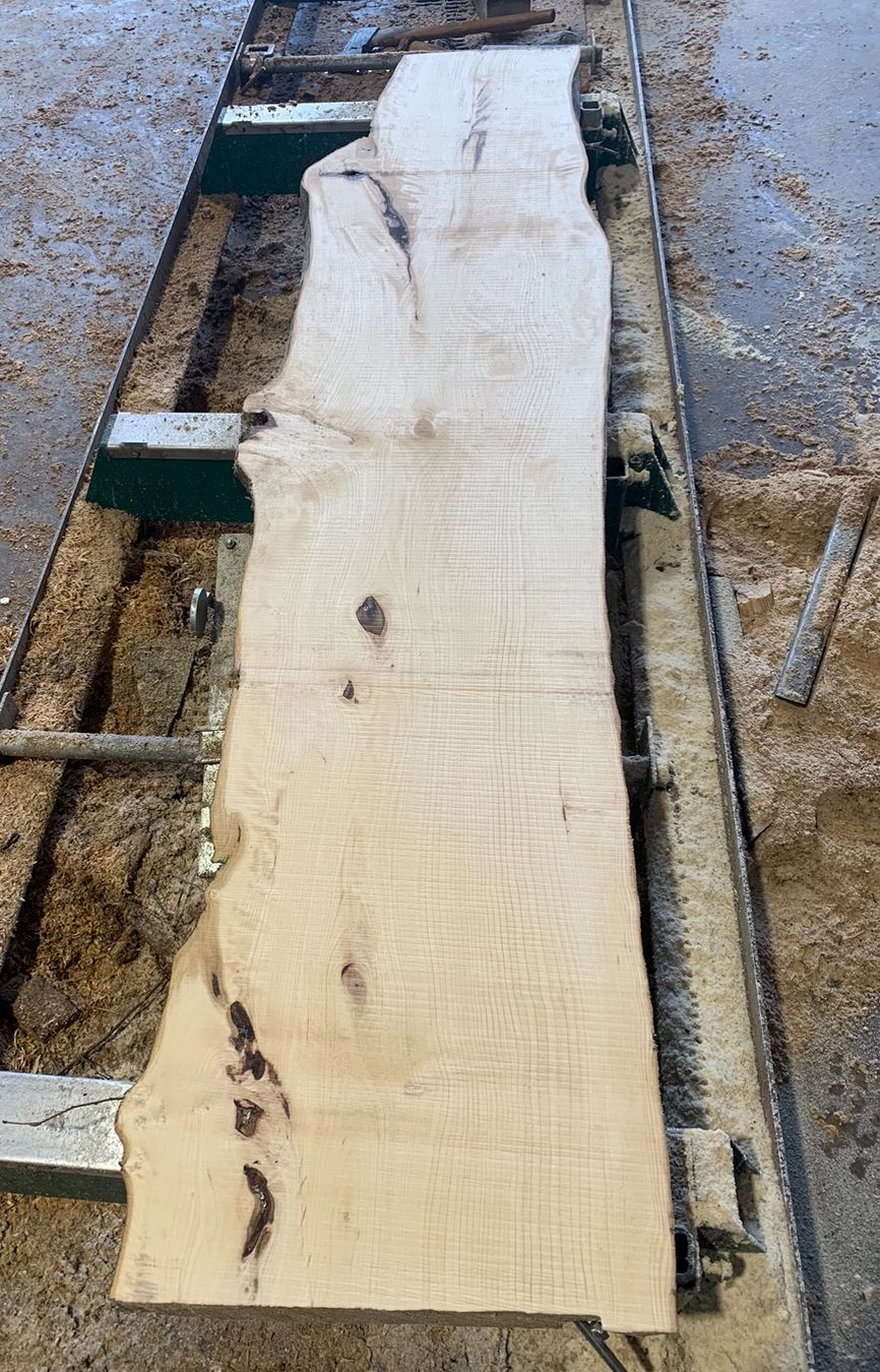 Articoli in legno: Bretter Hagenbuche – Nuovo (secondo la descrizione) da Holziken venduto da Timbergrizzly 2