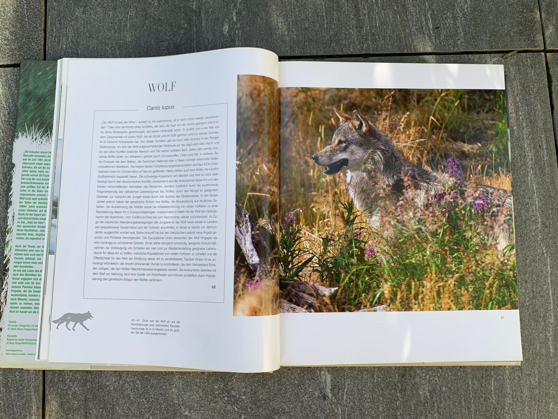 Libri: WWF Artenschutz Buch – Usato da Vaduz venduto da kev_m2pt 2