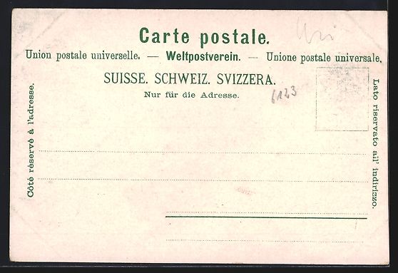 Cartoline postali: Flüelen am Vierwaldstättersee, Uferpar – Usato da Berlin venduto da bartko-reher 1