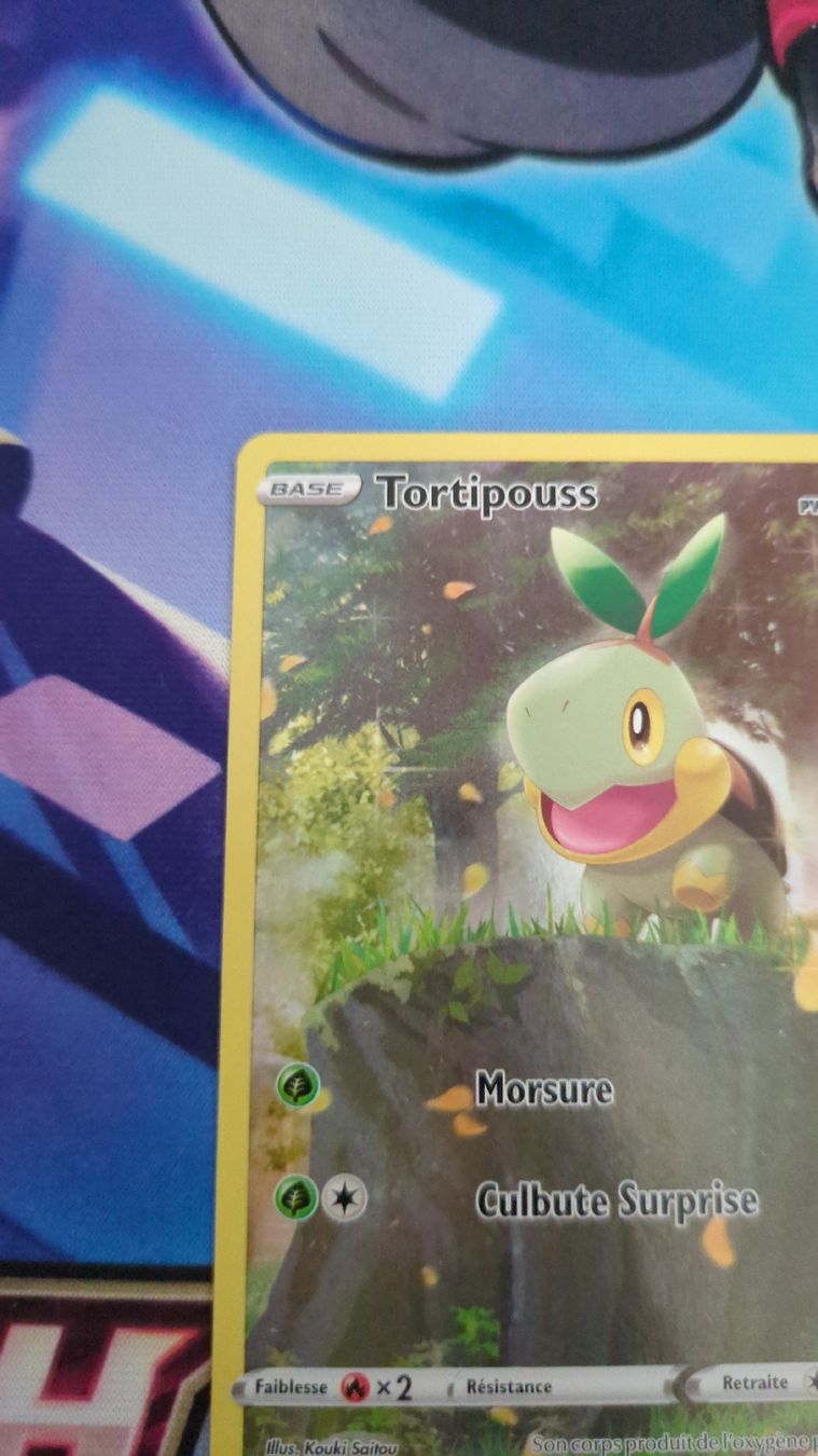 Pokémon Carte collezionabili: Carte Tortipouss - Zenith Supreme – Usato da Genève venduto da ims1 2