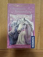 „Geheimnisvolle Verwandlung“ Spiel