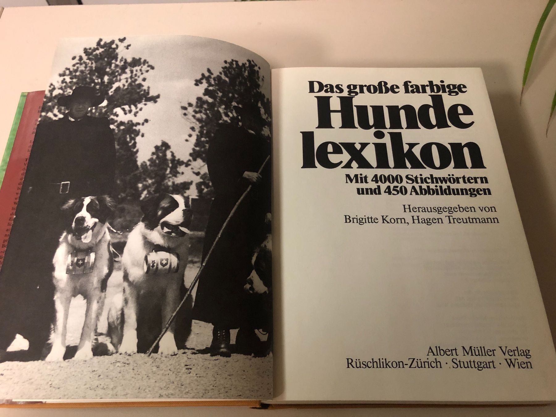 Libri: Hundelexikon- Buch ! – Usato da Brügg BE venduto da better14 1
