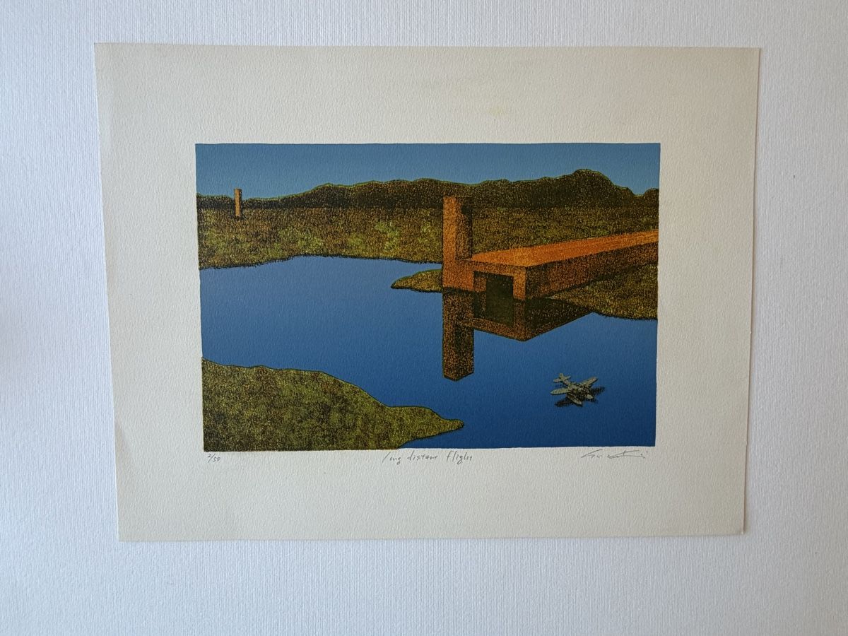 Grafiken & Lithographien: Lithographie Long Distant Flight signée numérotée 2/50 – Gebraucht aus le landeron von cance-lara 7