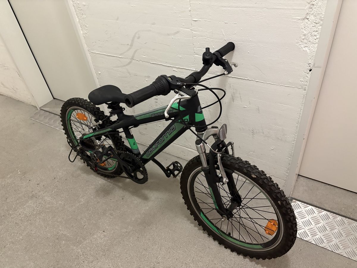 Leopard Biciclette: Kinder Velo Leopard 20 Zoll – Usato da Möhlin venduto da Nilo9013 3