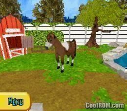 Nintendo Giochi: 😎 Pony Luv DS – Usato da Schüpfheim venduto da Games_Spielkonsolen 4