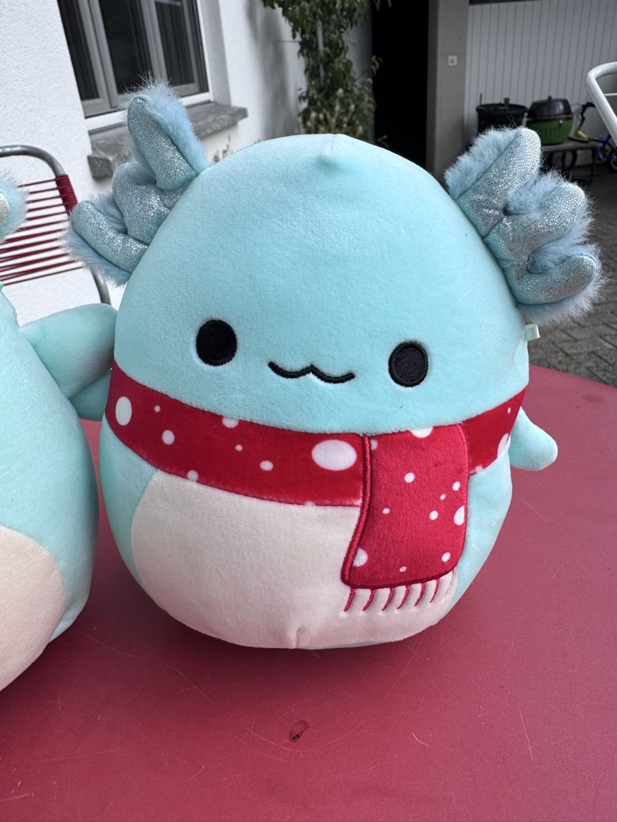 Squishmallows Jouets: Squishmallows Axolotl 2x ca 20cm – D'occasion à Niederbüren par Oetschli 1