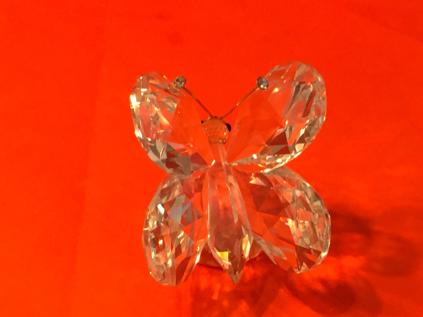 Swarovski Statuette: Swarovski Schmetterlinge – Nuovo (secondo la descrizione) da Oberglatt ZH venduto da Multimix 1