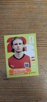 Fifa World Cup Panini AUT 17