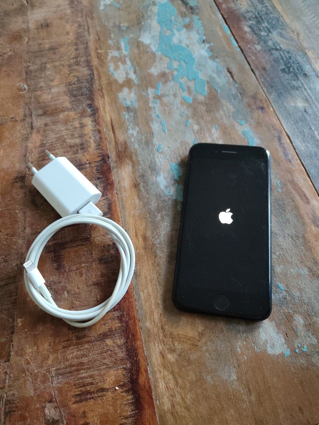 Apple Telefoni cellulari / Smartphones: iPhone SE – Usato da Olten venduto da so.bi
