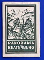 Panorama von Beatenberg von Amsibühl 1336 M.ü/M Litho