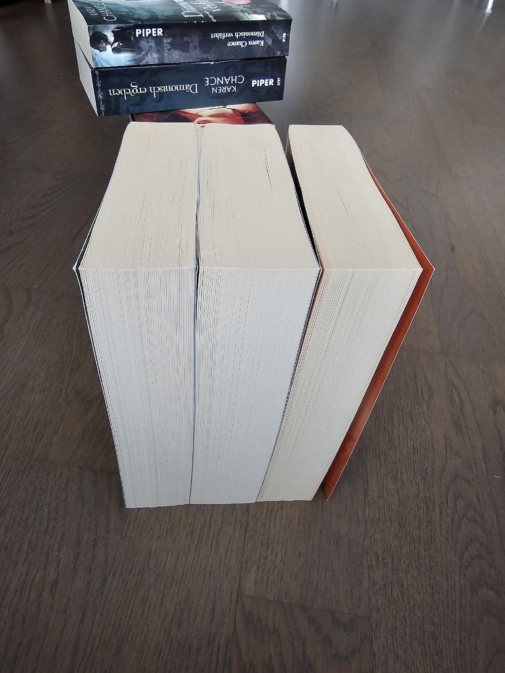 Libri: Dhampir - Barb Hendee – Usato da Hinterforst venduto da impatiently 3