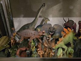 Sehr viele Dinos