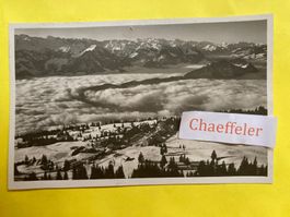 1930. 3627 Rigi-Kaltbad. Nebelmeer g. die Berneralpen