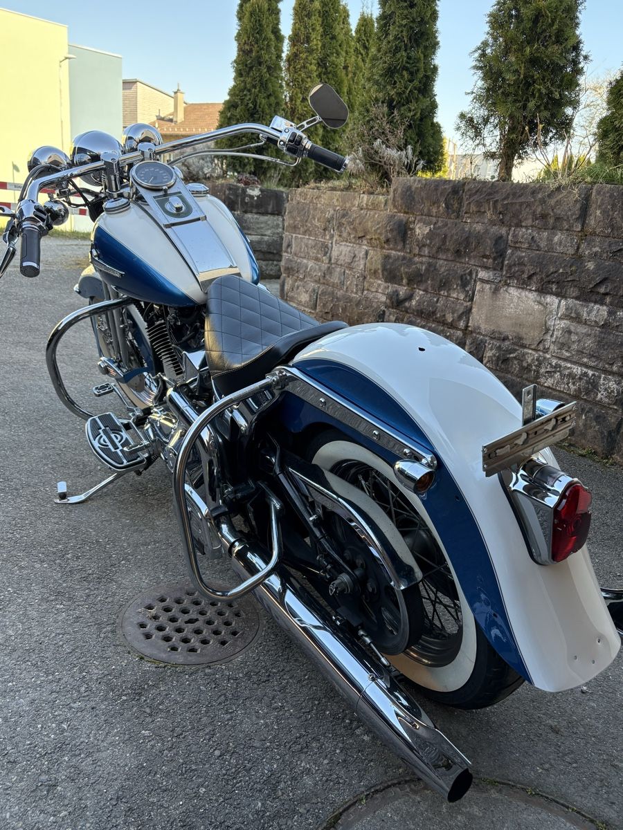 Harley-Davidson Chopper: Harley Davidson FLSTS Softail Springer – Usato da glattbrugg venduto da cheche 1