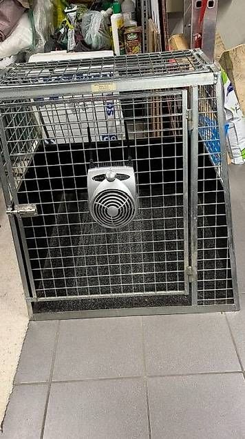 Cages, transport & sécurité: Stöckli Hundebox – D'occasion à Niederweningen par borner01