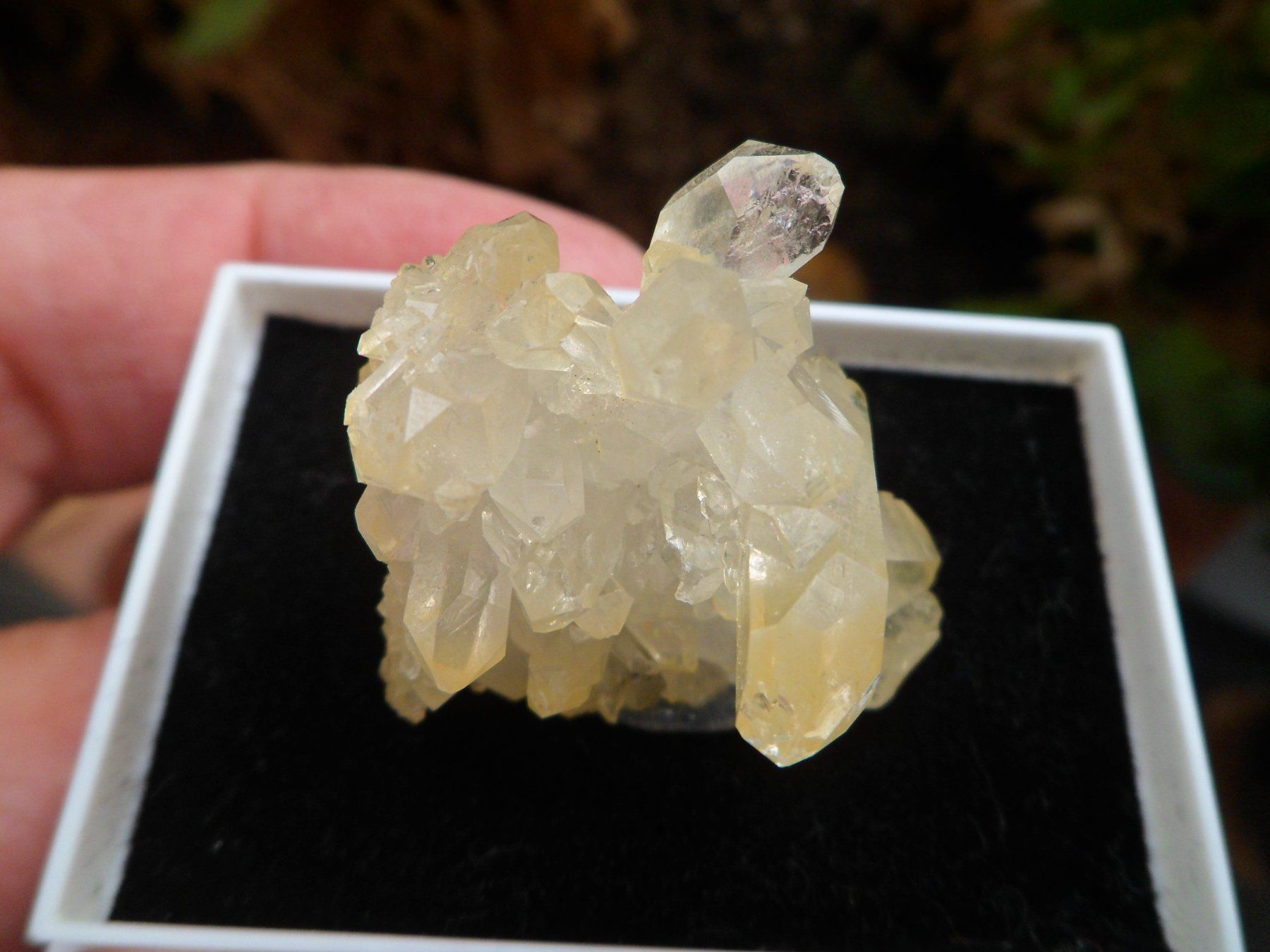 Mineralien & Heilsteine: Bergkristall Schinschlucht – Neu (gemäss Beschreibung) aus Affoltern am Albis von Fossil60 2