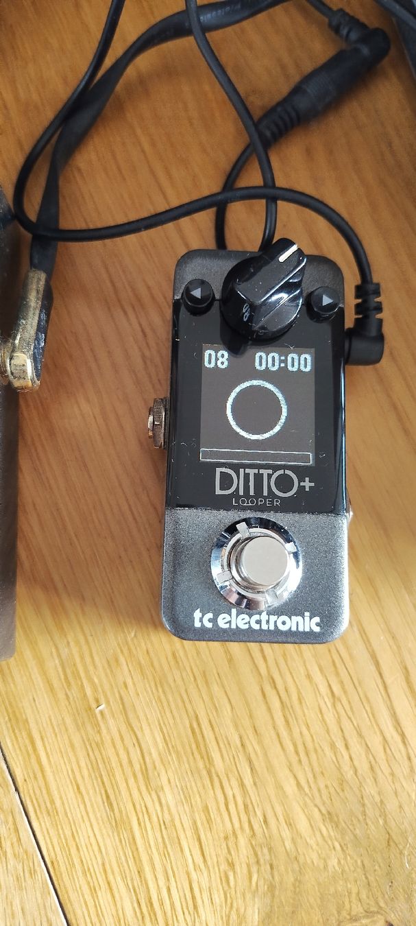 Strumenti musicali: TC Electronic Ditto+ Looper Pedal  – Nuovo (secondo la descrizione) da Münchenstein venduto da ste_98zm 4