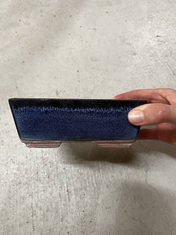 Blumentöpfe: Bonsaischale – Gebraucht aus Zürich von piruet18 1