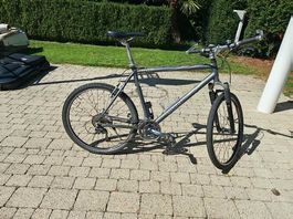 Bullok Mountainbike 2002