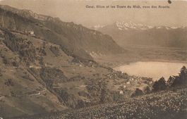Caux, Glion...vues des Avants