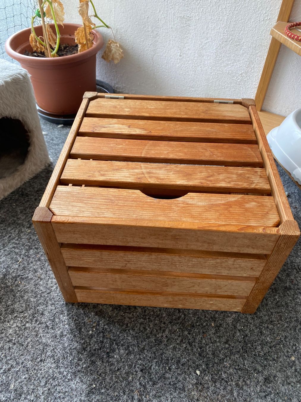 Transportkisten: Holzharasse / Kiste mit Deckel – Gebraucht aus Bern von kat_d9p5