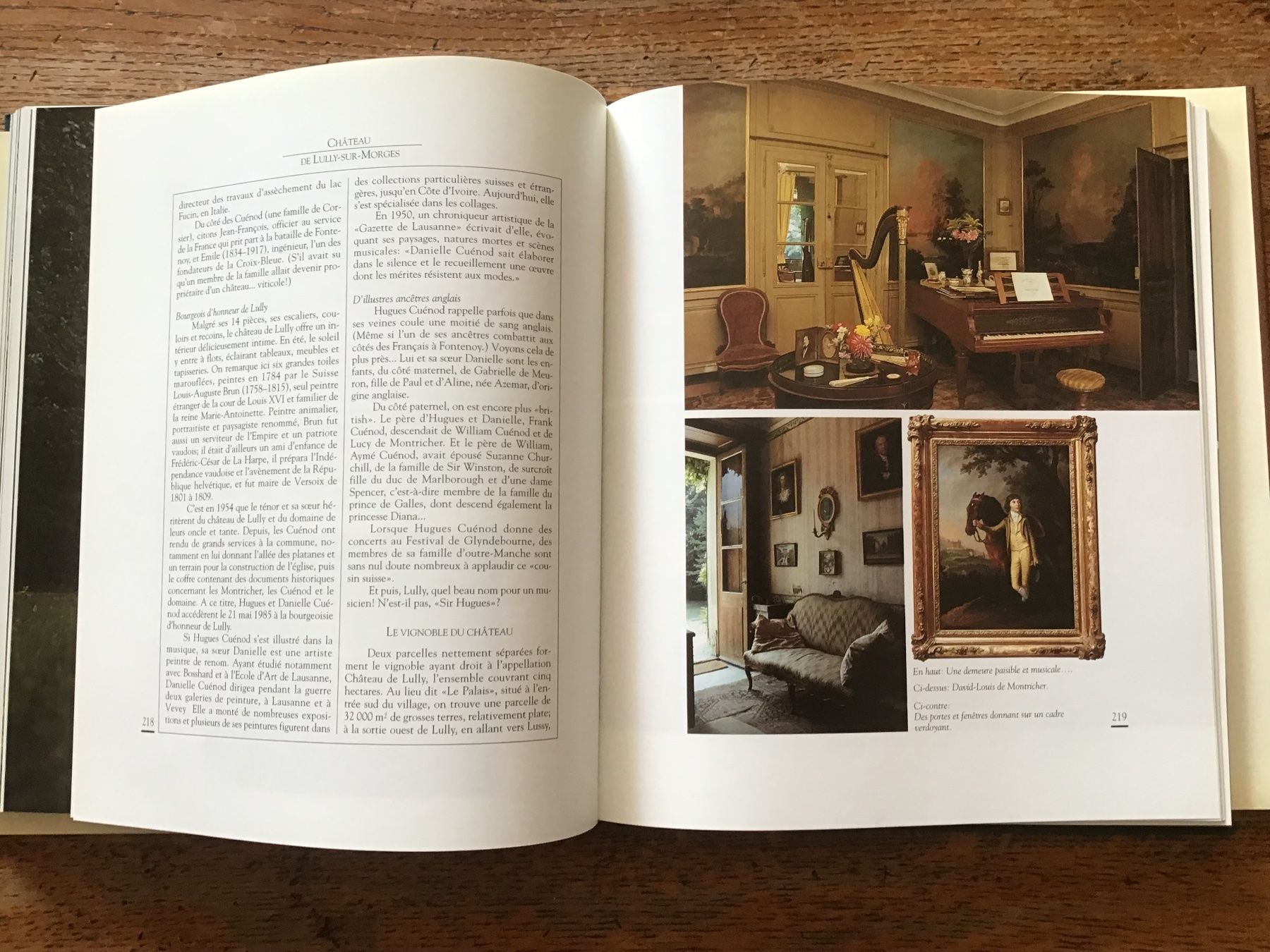 Libri: Les châteaux viticoles du Pays de Vaud – Usato da Fully venduto da Ruby97 9