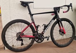 Cannondale SuperSix EVO LAB71, Flandern Ltd. Edition, Gr. 56