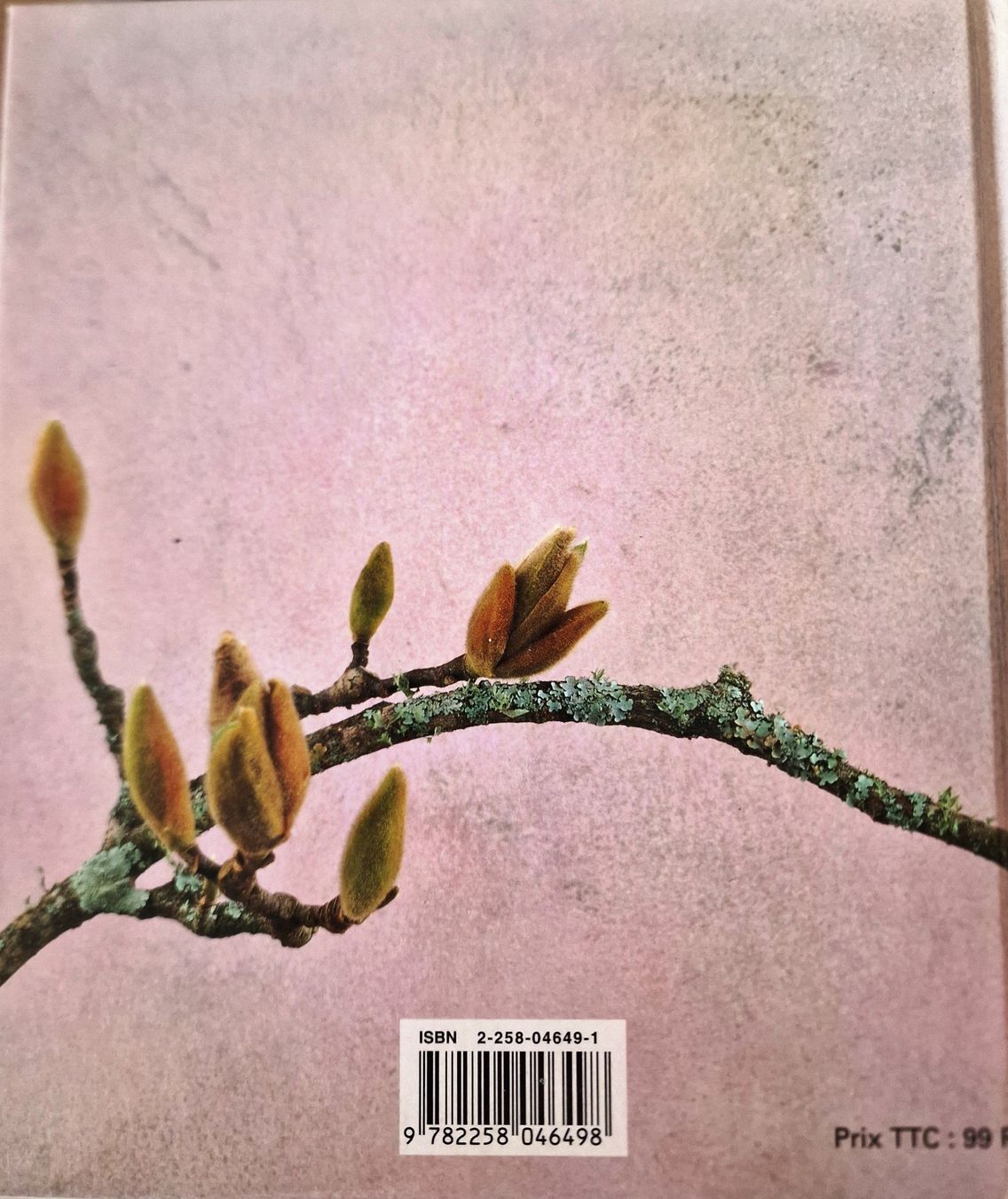 Libri: Anne Geddes – Usato da Bouveret venduto da Hannelor0 1